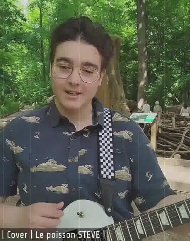 Le poisson Steve - Cover